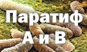 Паратиф