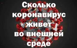 Сколько коронавирус живет во внешней среде — без носителя