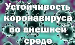 Какова устойчивость коронавируса во внешней среде